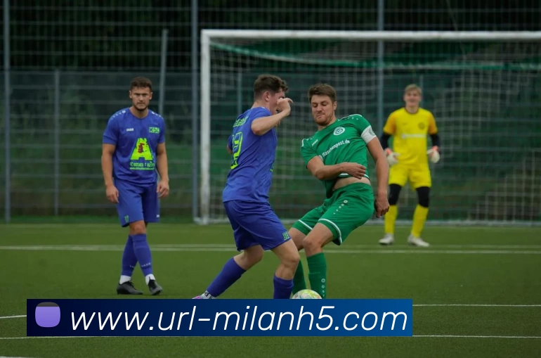 米兰体育服务体系