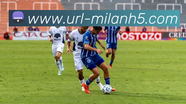 米兰体育APP 体育赛事宣传图